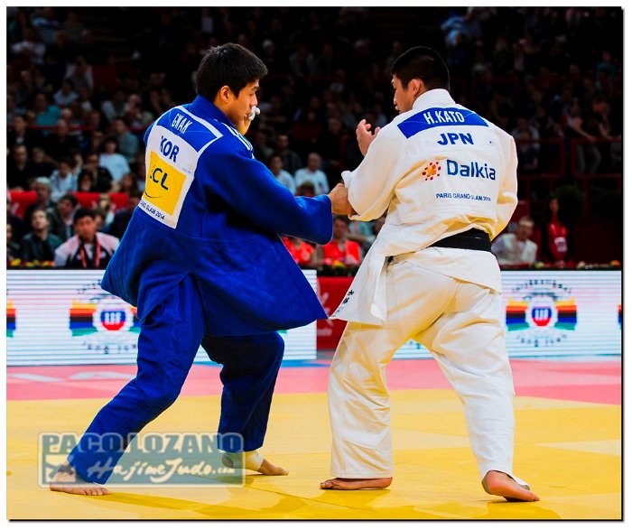 Paris 2014 by P.Lozano cat -90 kg_PLM4854